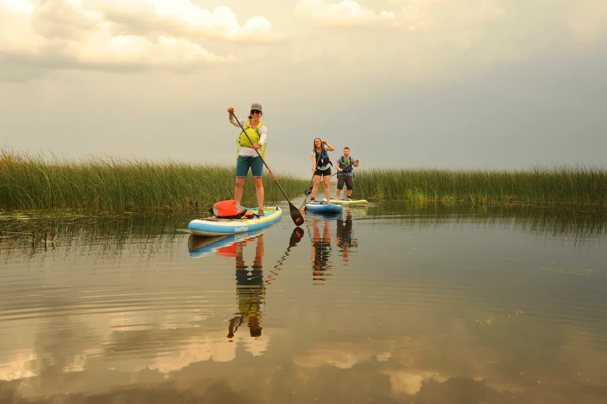 Paddle Athabaca paddleboarding tour, Athabasca, AB.