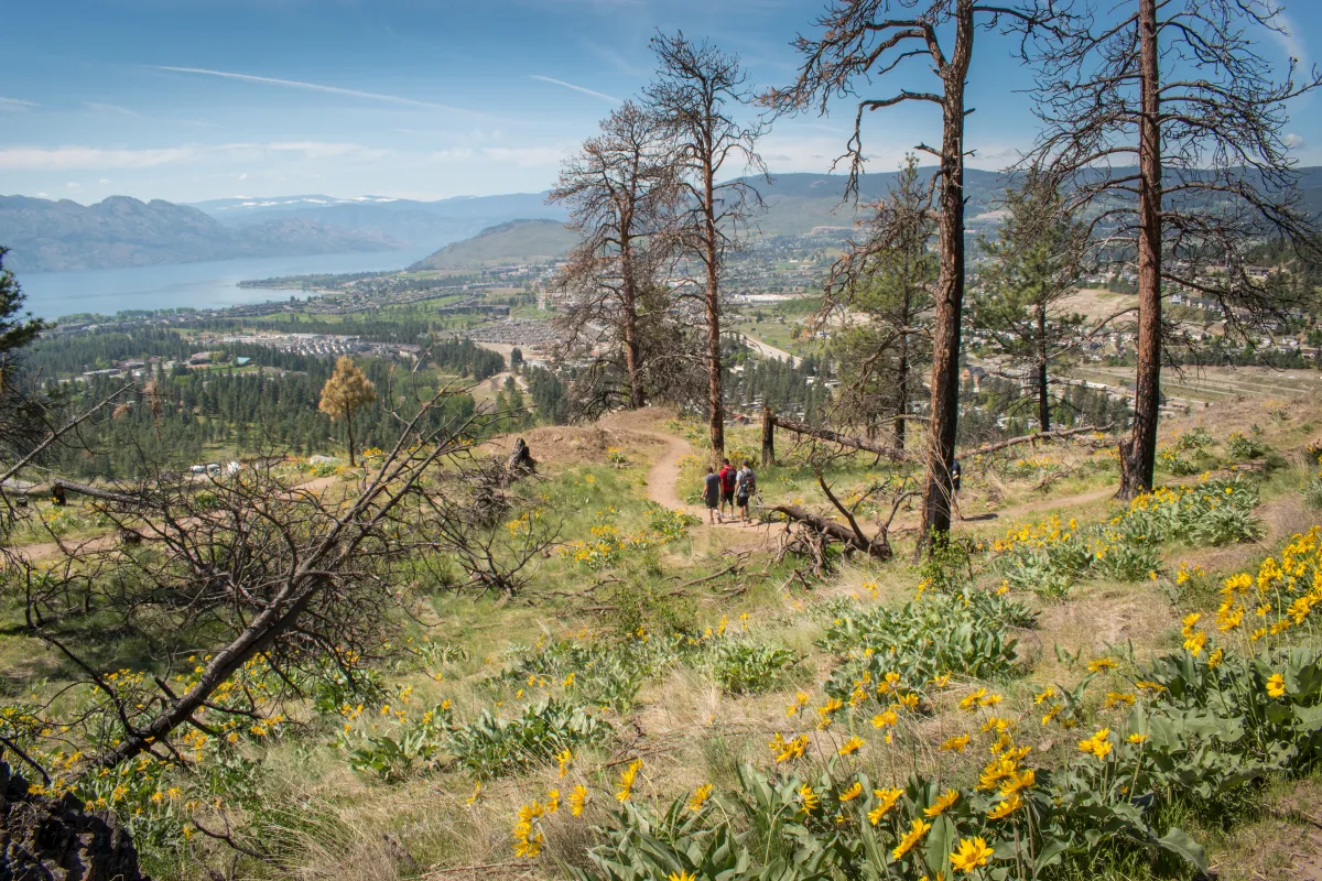 Hiking in Kelowna