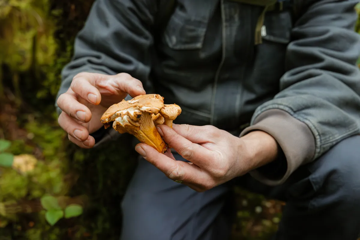 Port Alberni BC Foraging Alex Taalman ZenSeekers