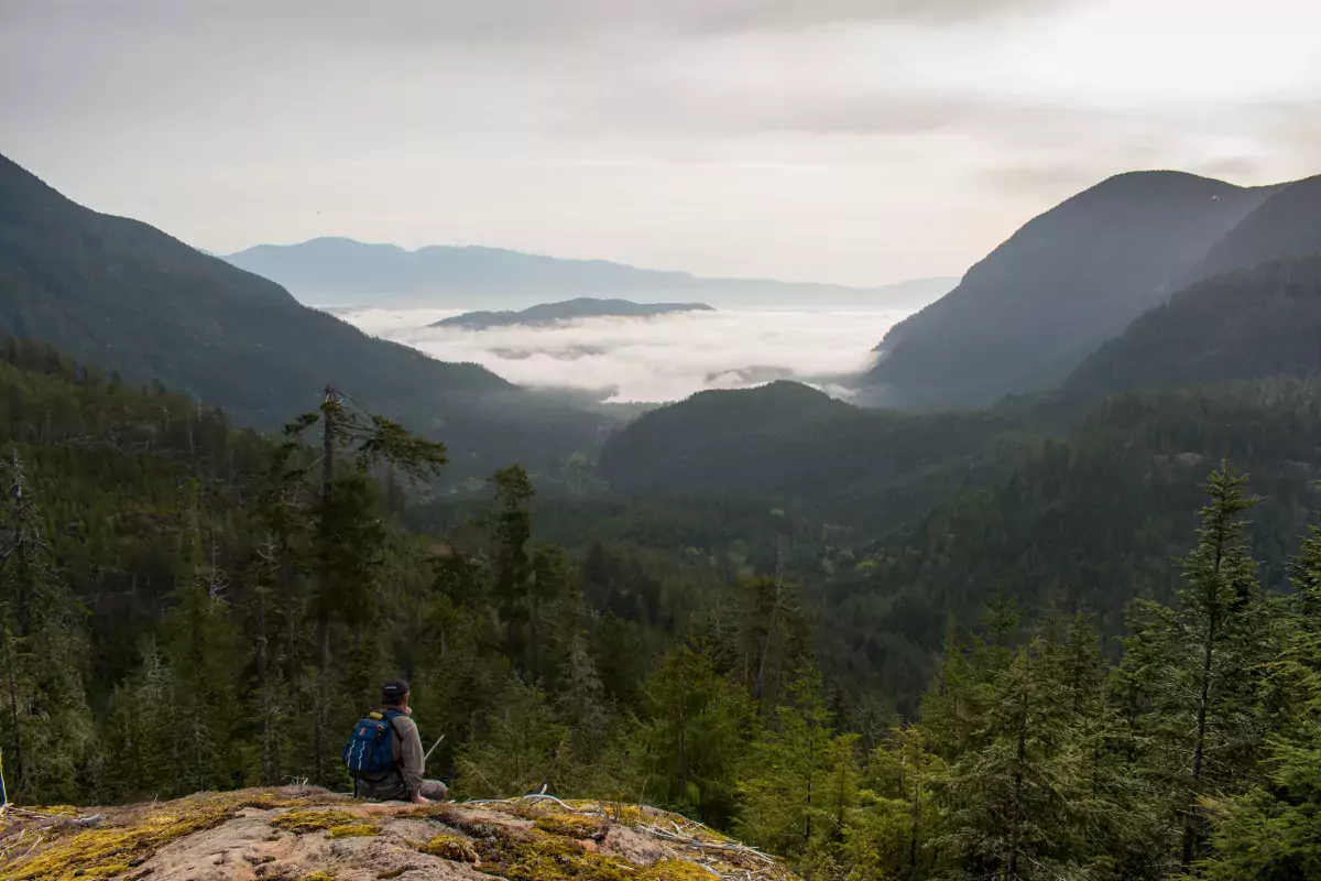 The view from the top of a hike near Port Alberni
