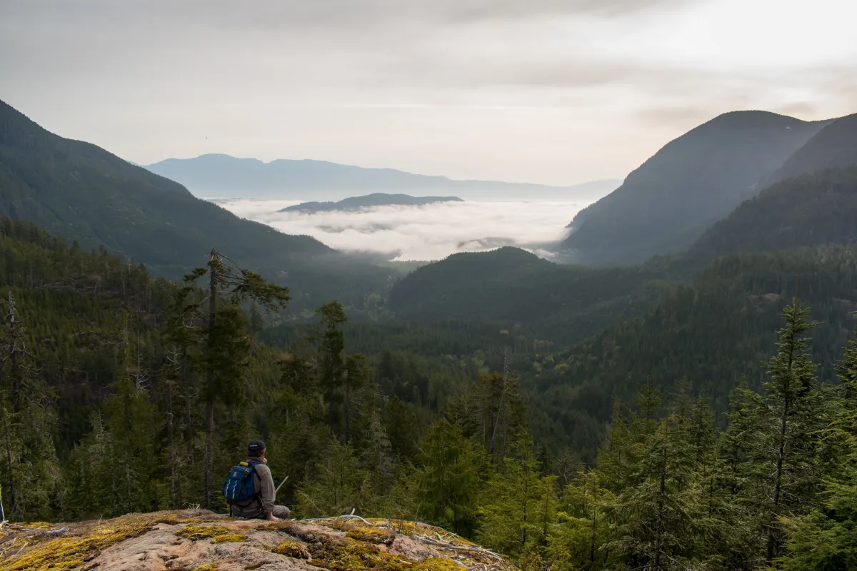 The view from the top of a hike near Port Alberni