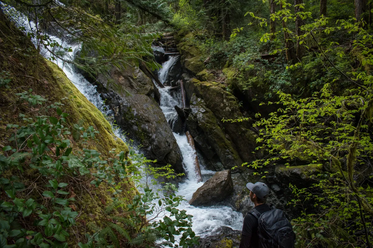 Port Alberni Hiking