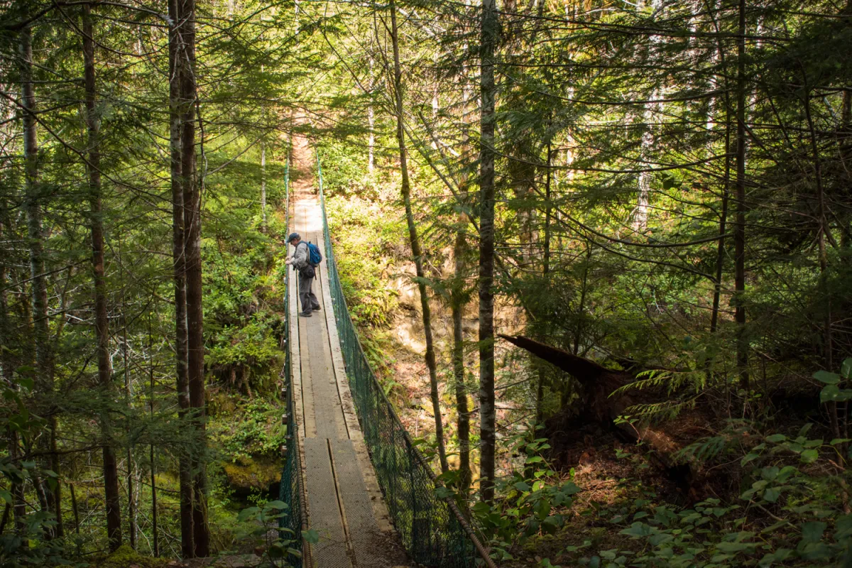 Port Alberni Hiking