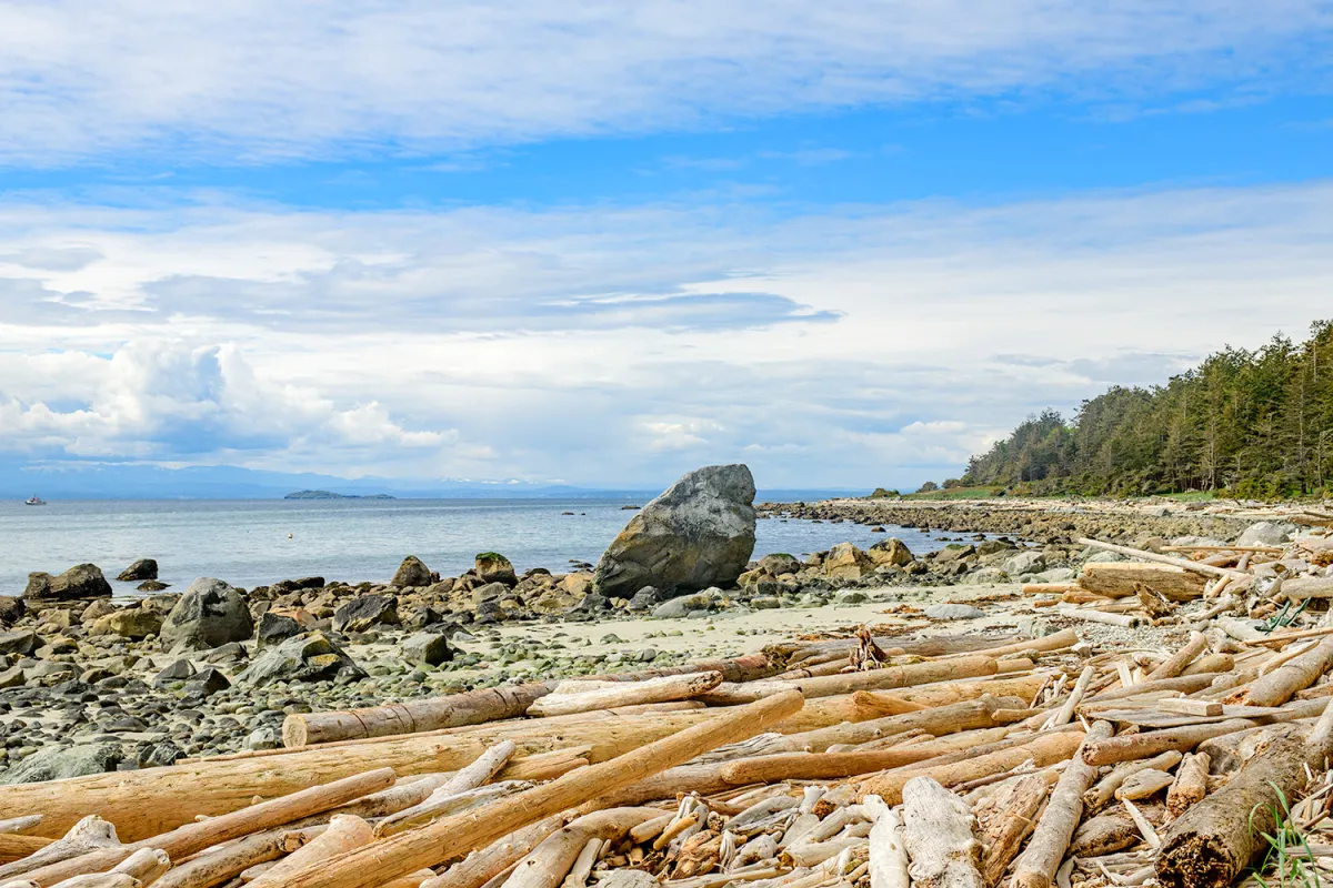 Kayeqwan Savary Island BC shoreline