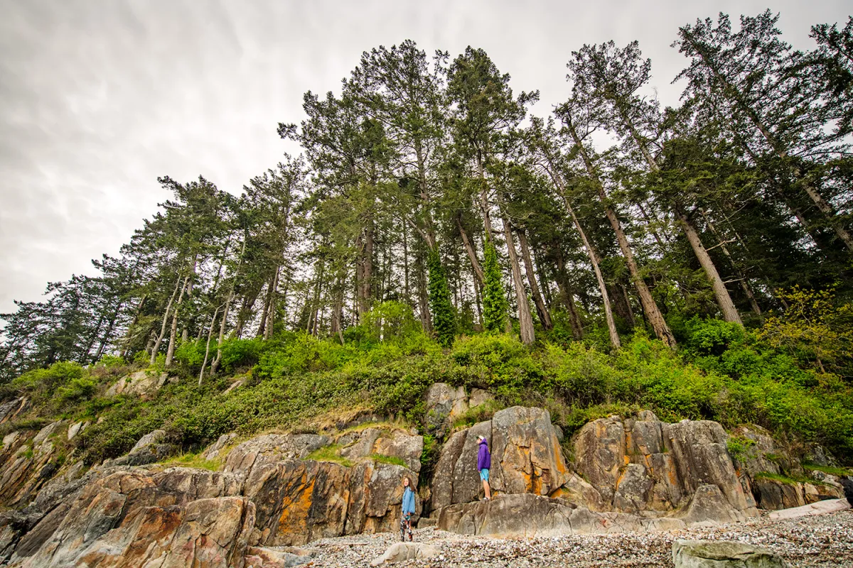 Kayeqwan Savary Island BC rocky bluffs Mace Point shore