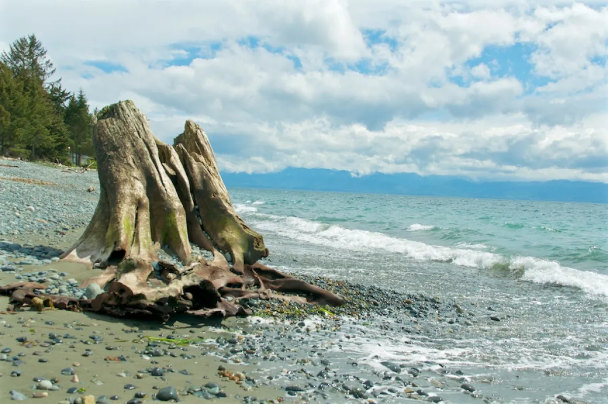 Sooke Beach