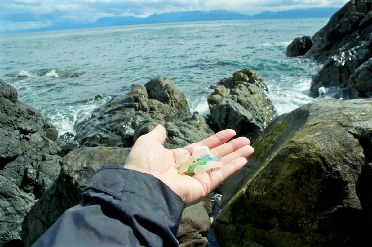 Beachcombing in Sooke