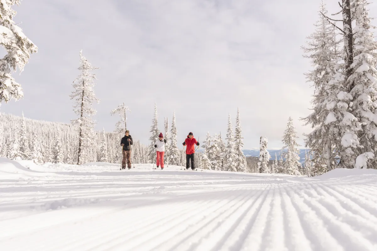 Vernon BC cross-country skiing