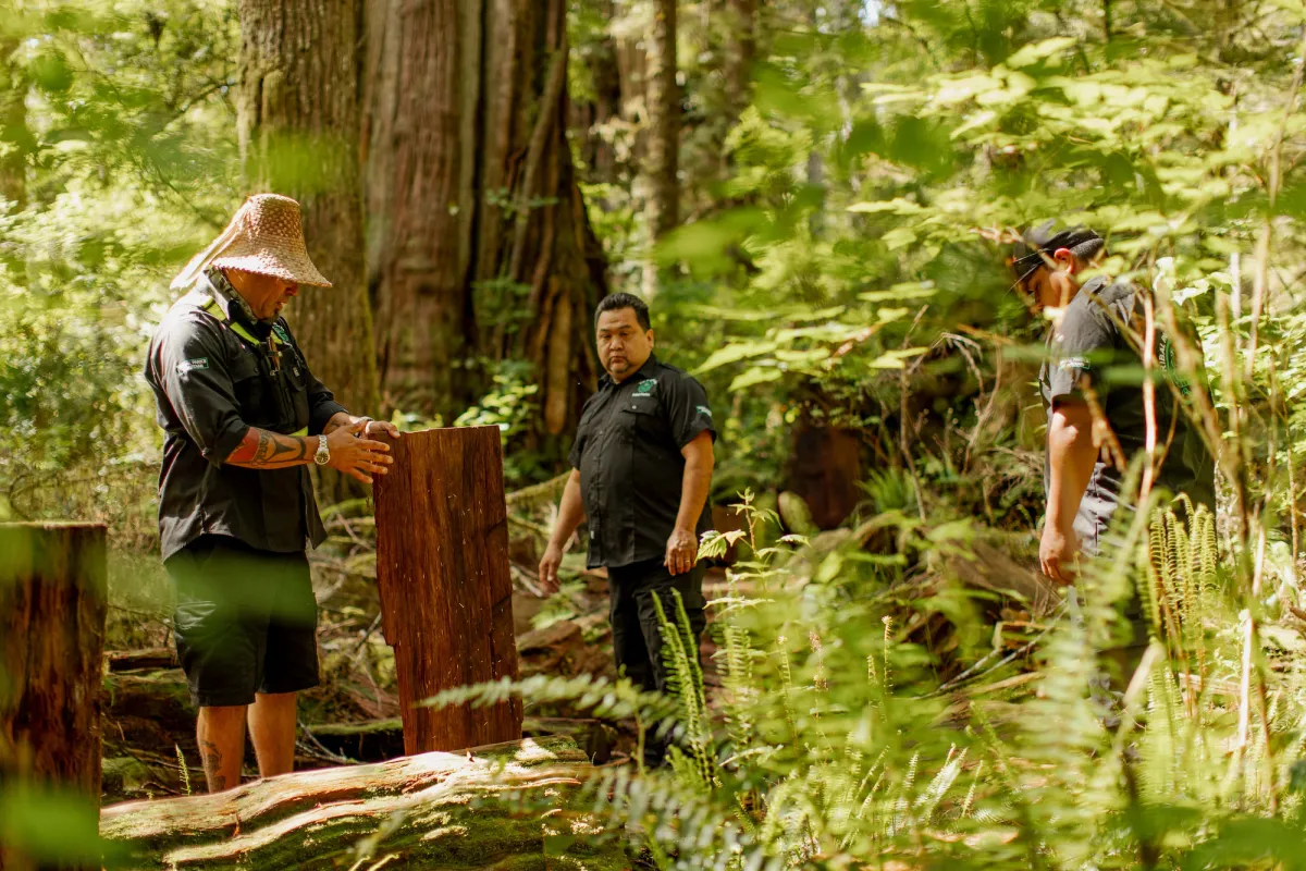 Tofino TribalParks British Columbia Meares Island Trail KylerVos ZenSeekers