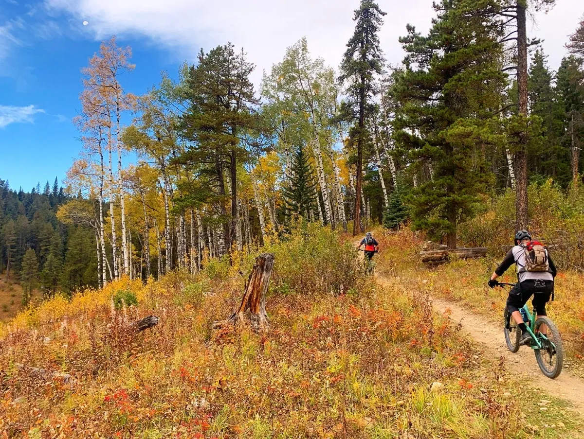 mountain biking West Bragg Creek 