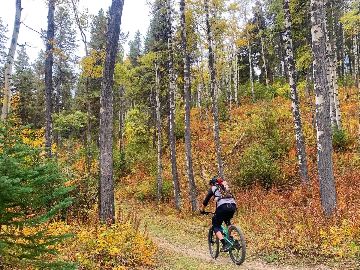 mountain biking West Bragg Creek (Telephone)