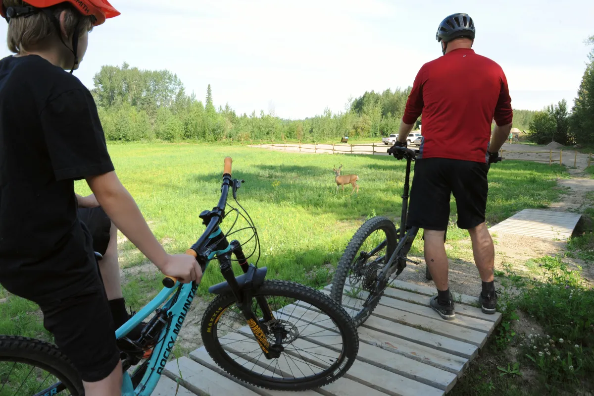 Stopping to let a deer pass at Whitecourt Bike Park, Whitecourt, AB.