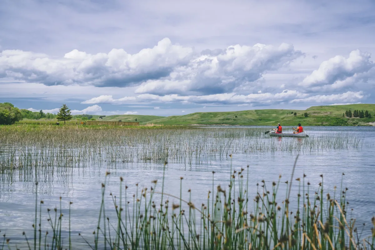 Cypress Hills