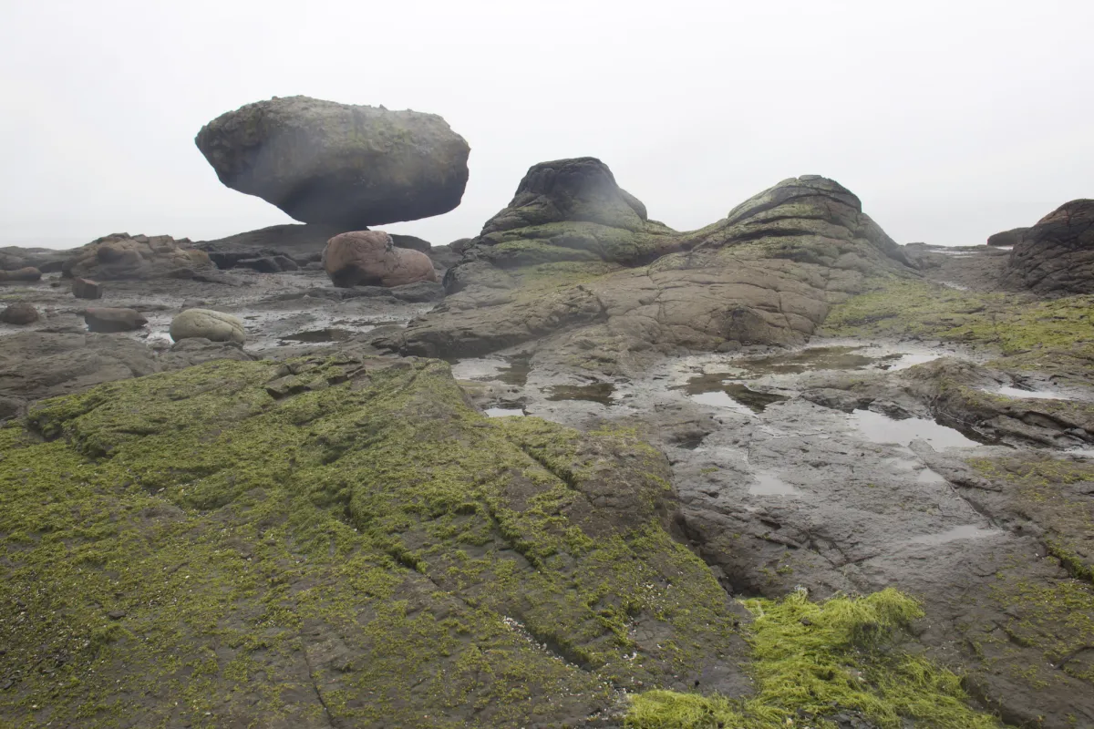 Haida Gwaii shoreline Jim Barr