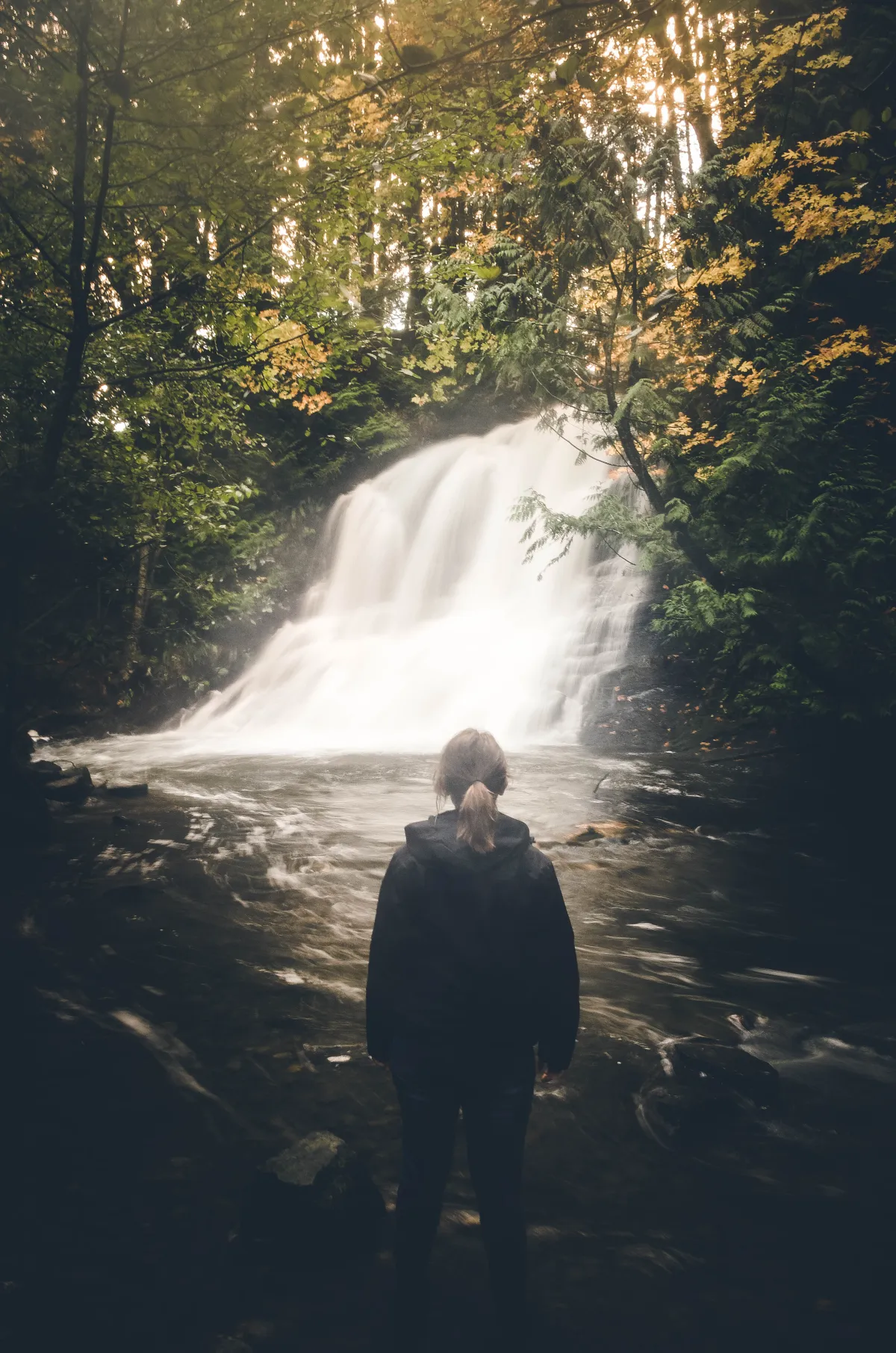 Waterfall on Vancouver Island