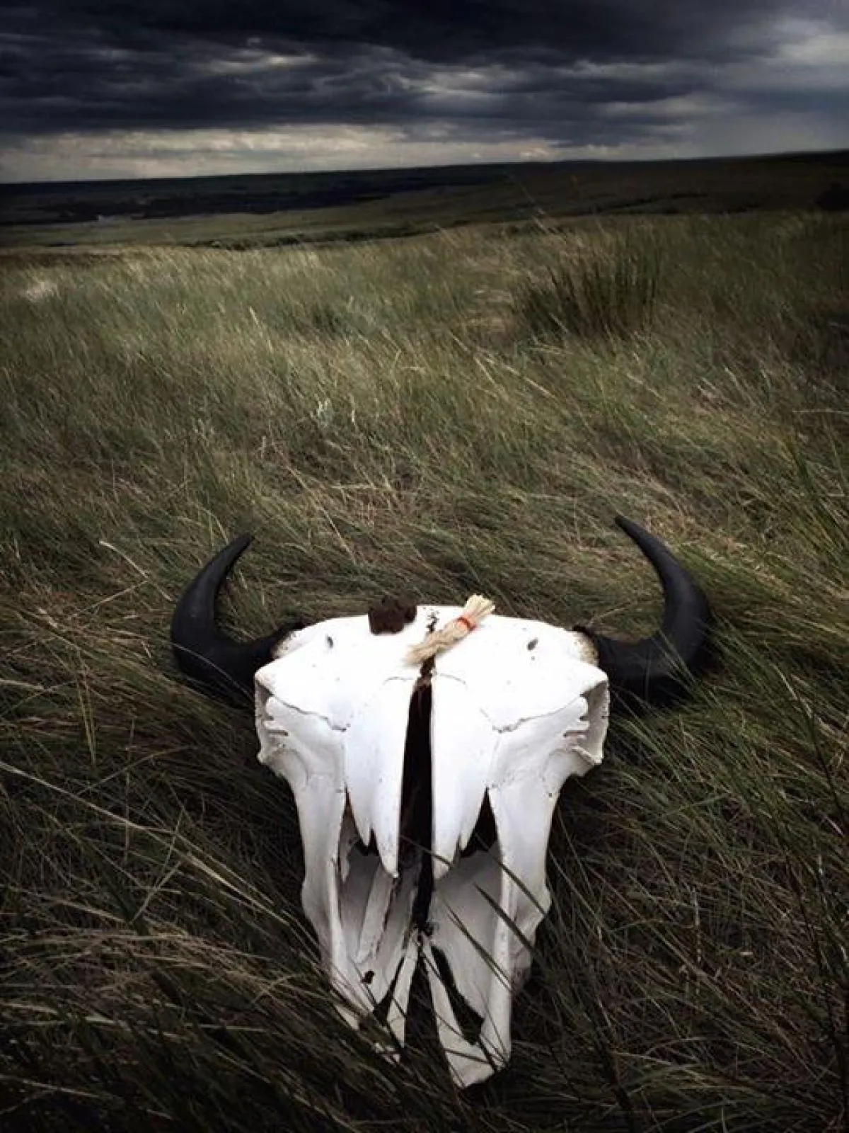 Head Smashed in Buffalo Jump