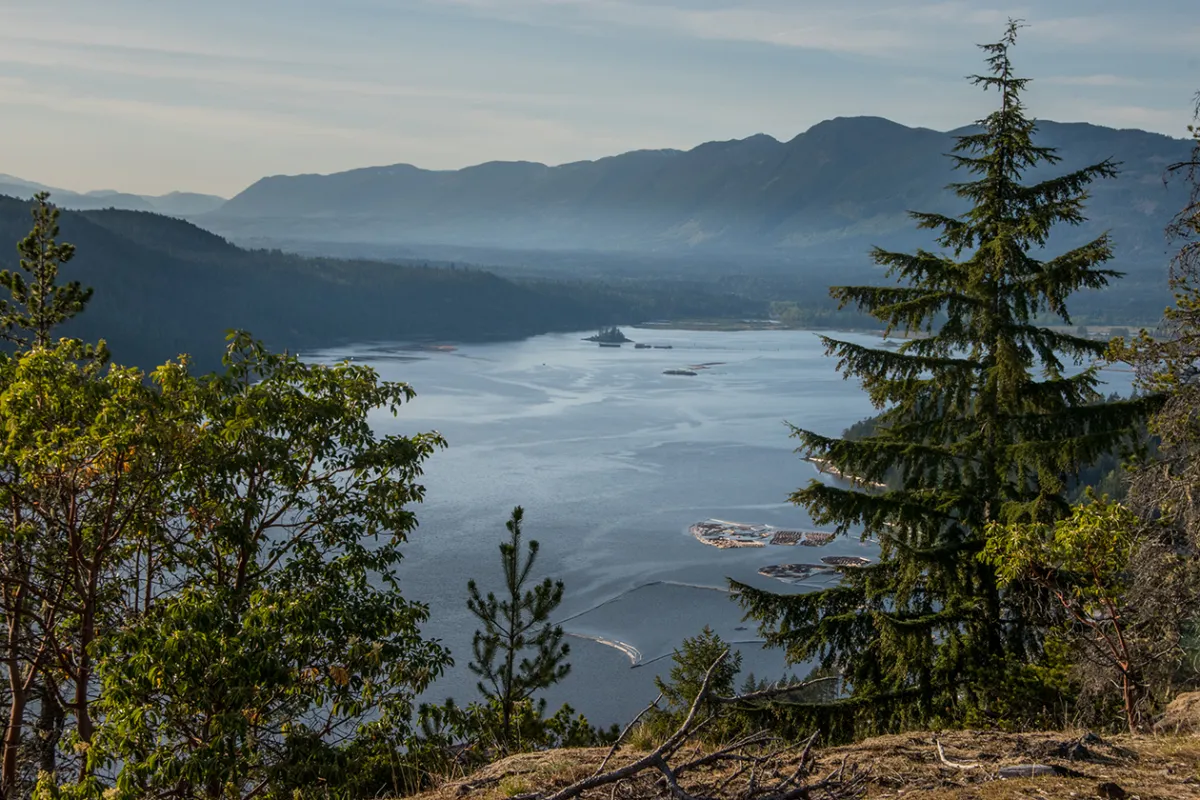 Port Alberni HIking