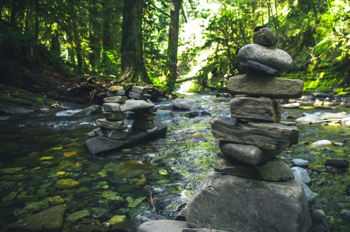 Port Alberni Hiking