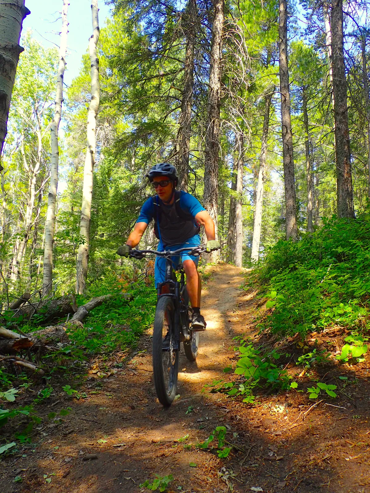 Biking in Cypress Hills