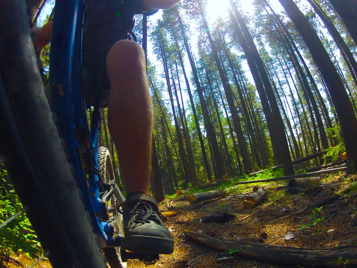 Biking Cypress Hills