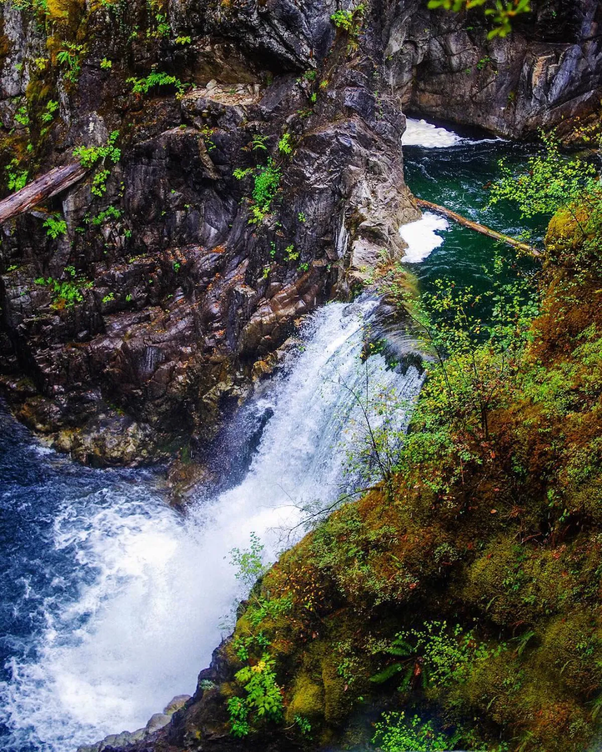 Little Qualicum falls on Vancouver Island