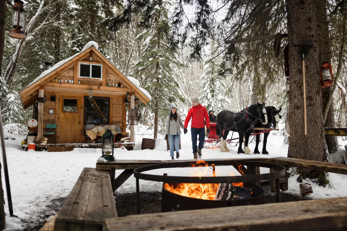 horse-drawn sleigh ride Smithers BC