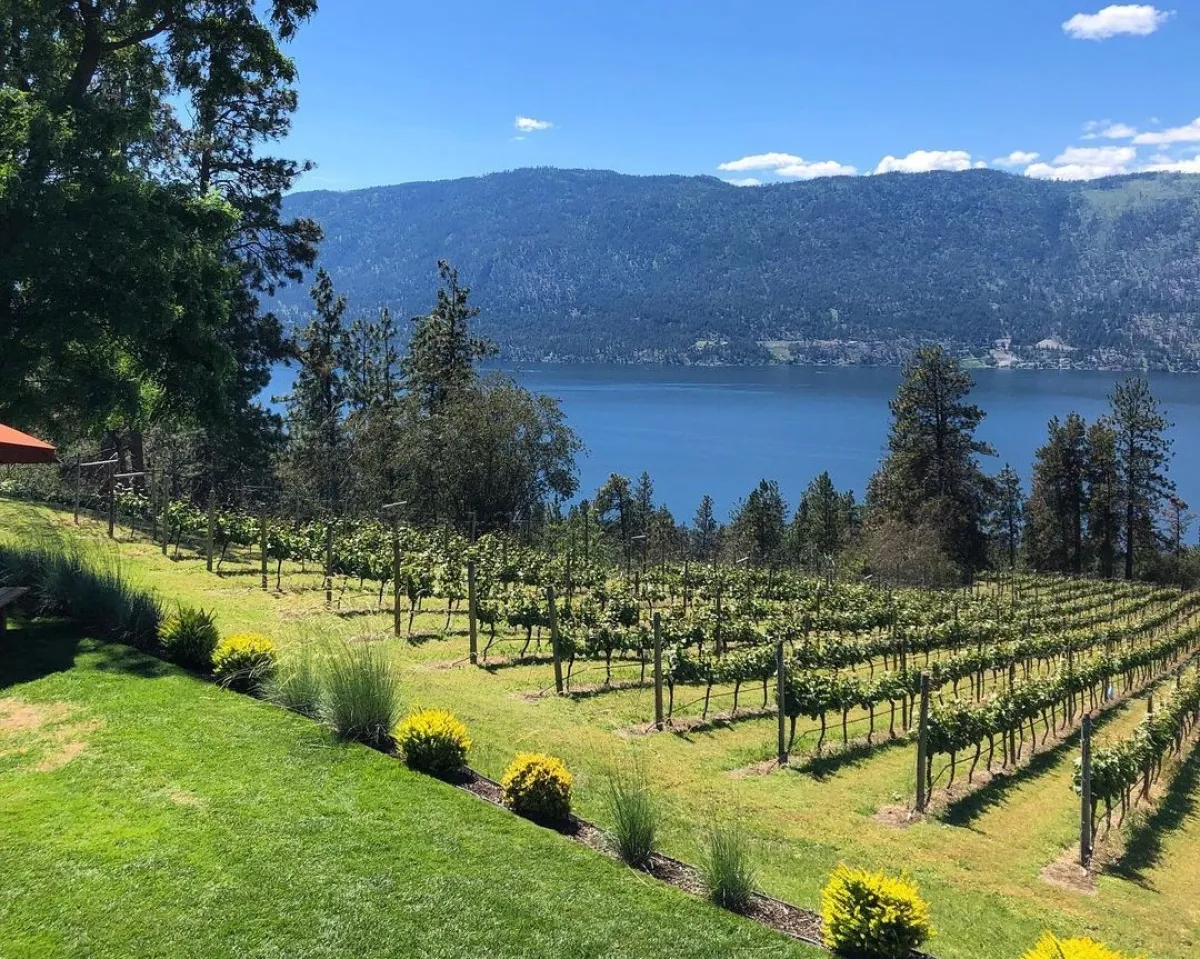 Okanagan vineyard lake view Heather Gardiner #SeekersAmbassador