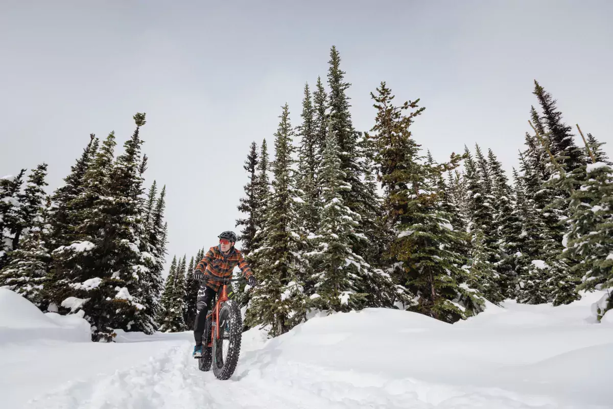Fat biking through the Smithers trails