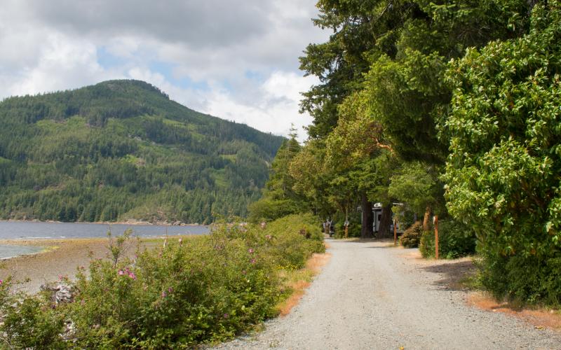 Dreamy and rugged, camping along Port Alberni’s shores ZenSeekers