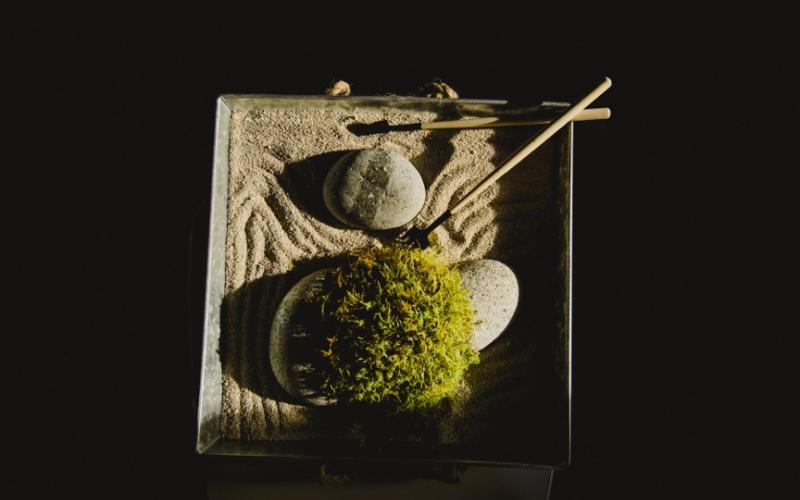 Build your own Tabletop Zen Garden | ZenSeekers