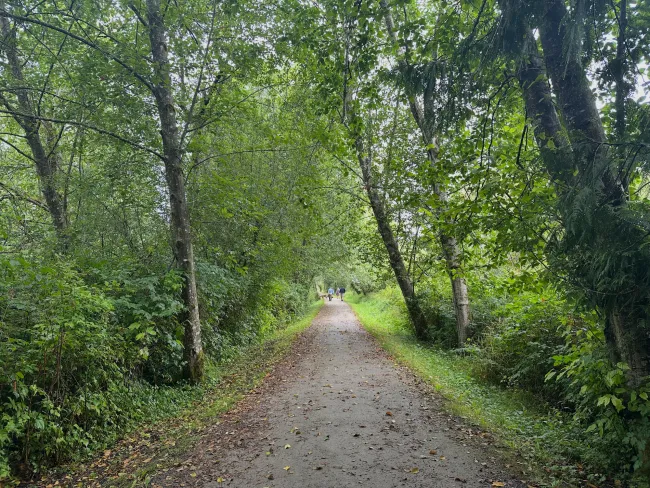 Deer Lake Burnaby Vancouver hikes