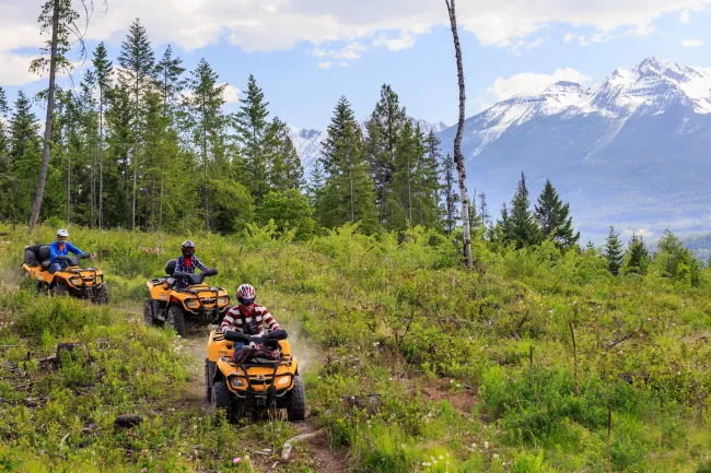 Quadding Golden BC