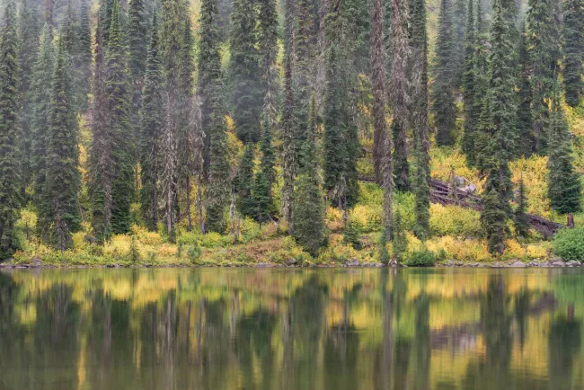 Gibson Lake Kokanee Glacier Provincial Park Madelin Williams