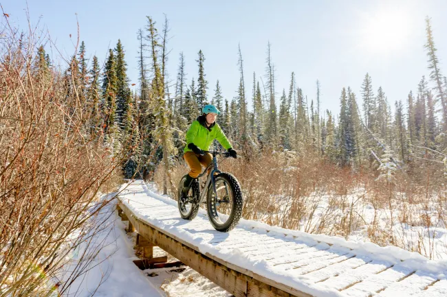 Fat biking hinton trails
