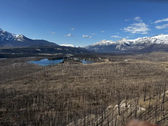 Jasper spring conditions 2026 snowy mountains dry valley
