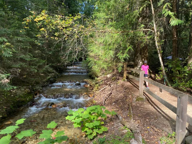 salmon viewing Kokanee creek