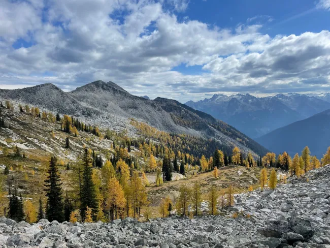 Larch views Carpenter Pass New Denver BC