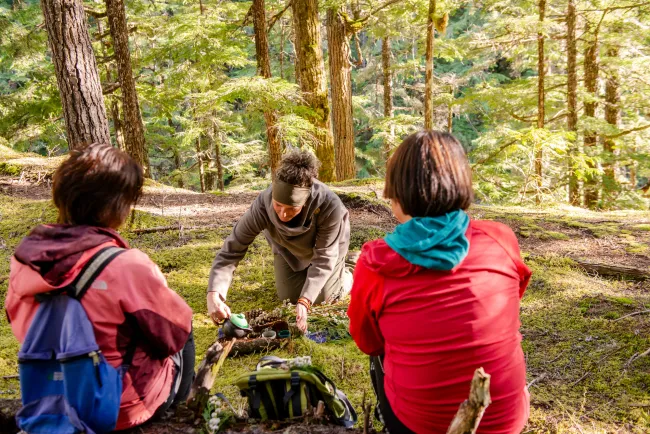 Alpenglow Mountain Escape guided hike