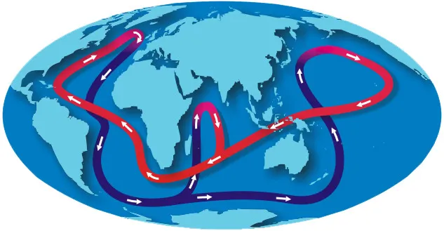 Great Ocean Conveyor Belt graphic by NOAA