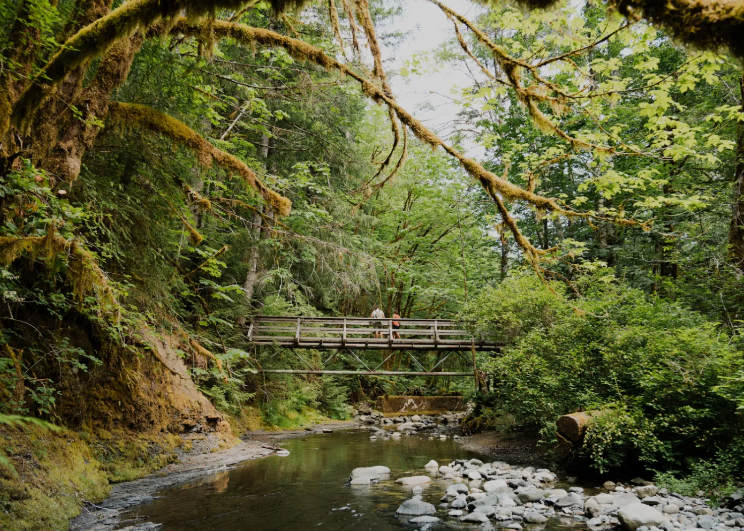 Trestle bridge along Kitsukis Dyke Trail.