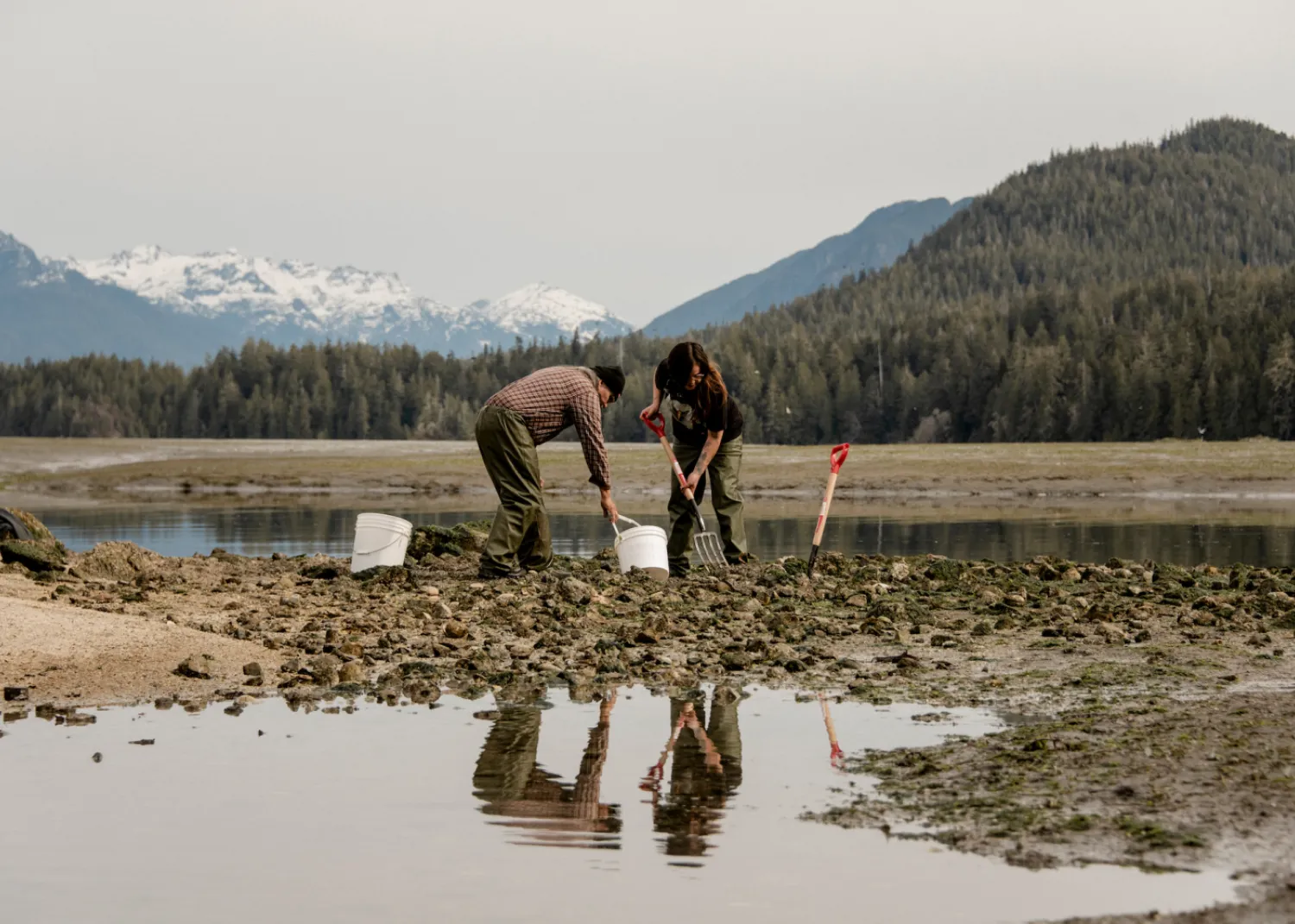 Ivy Martin and Carl Martin, harvesting food on Tla-o-qui-aht homelands.