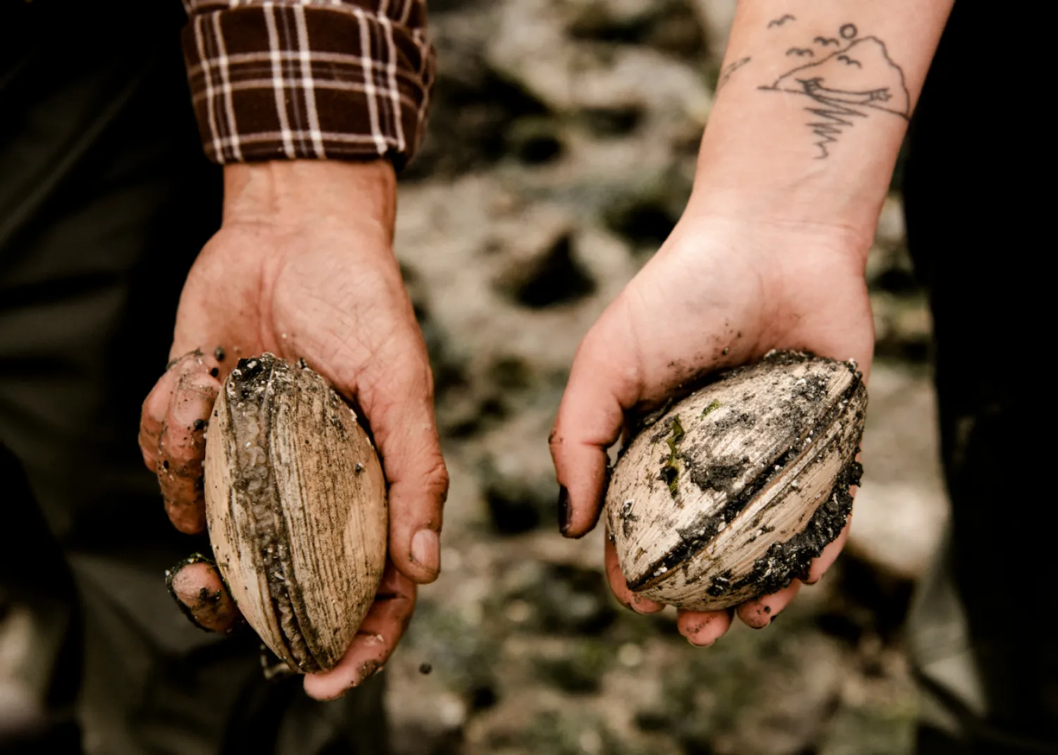 Tla-o-qui-at food is rich in west coast staples.