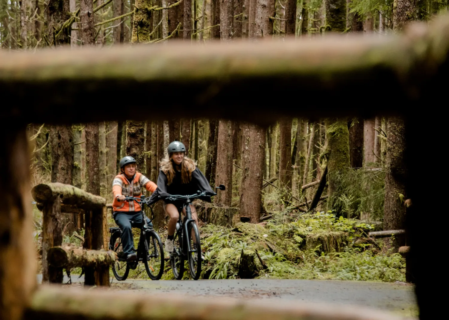 ebike old growth forest