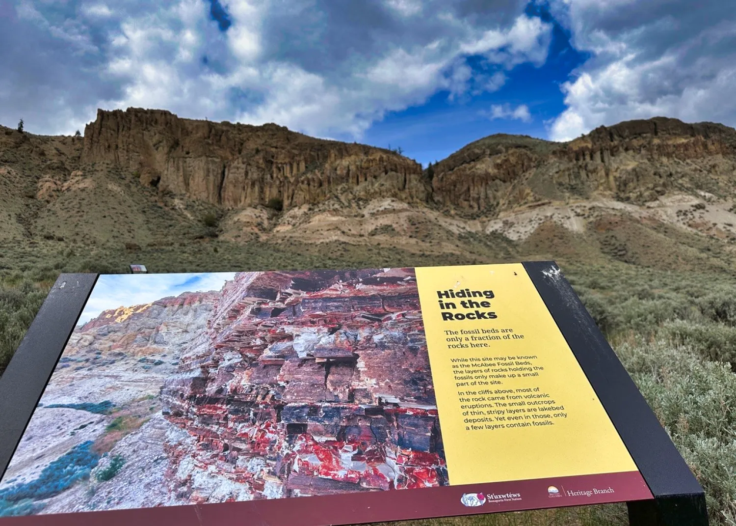 Hiding in the Rocks signHour