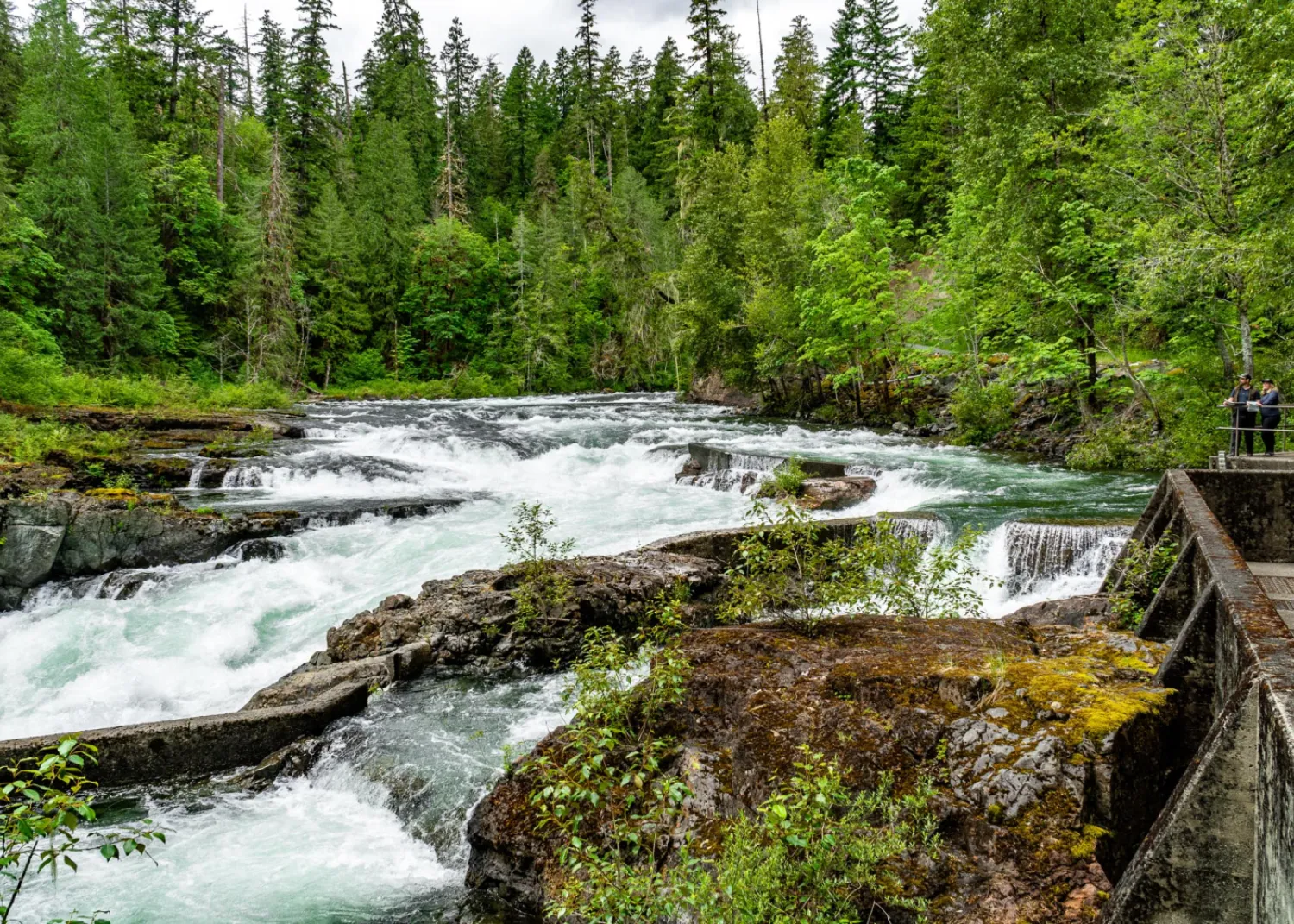 Stamp Falls near Port Alberni