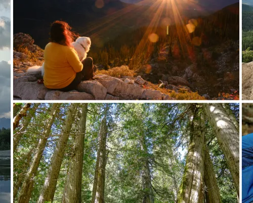 Rockies Exploring Ktunaxa Kootenai Indigenous Rocky Mountains Hoodoos Columbia River